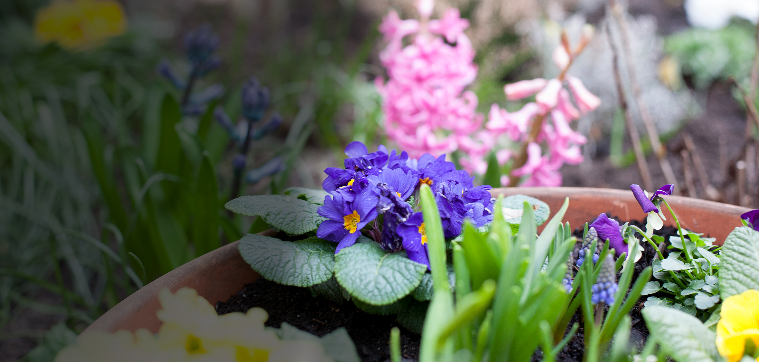 blumen-hospiz-spenden-2021