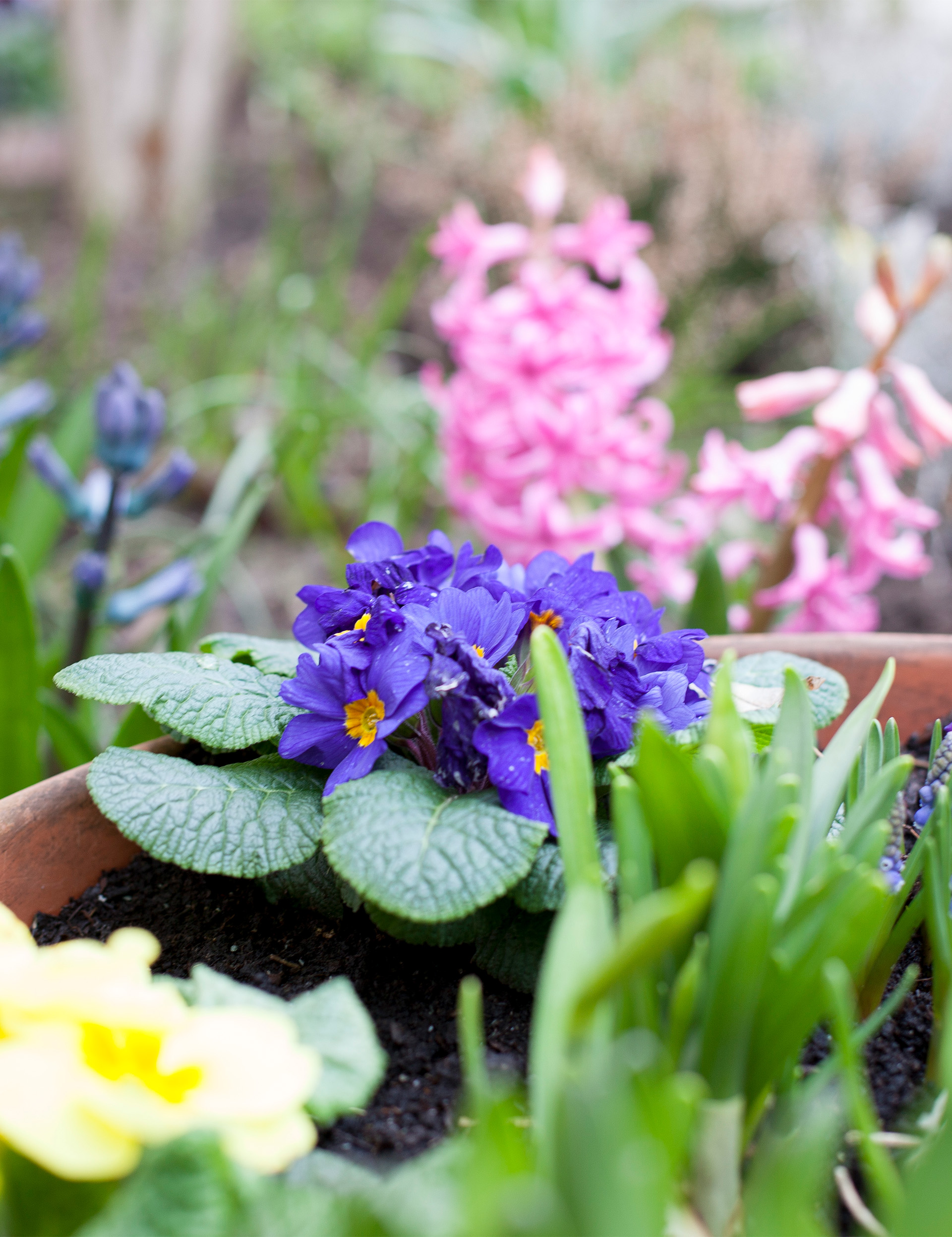 blumen-spenden-hospiz-2021