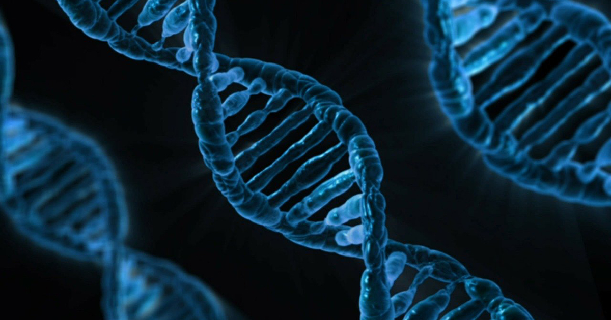 gene