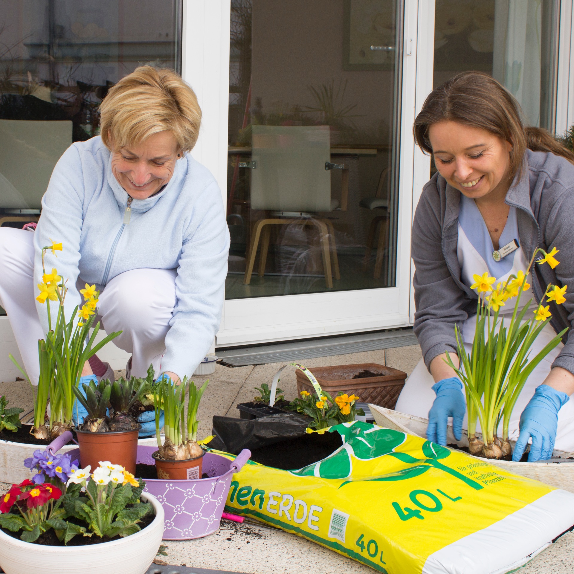 Hospizblumen einpflanzen