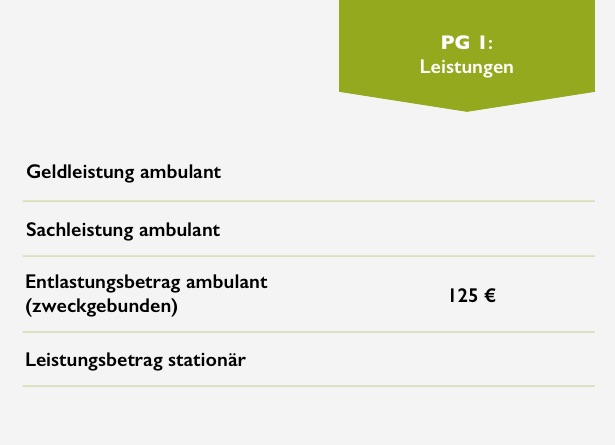 Leistungen mit Pflegegrad 1