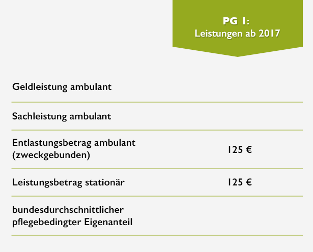 Leistungen Pflegegrad 1