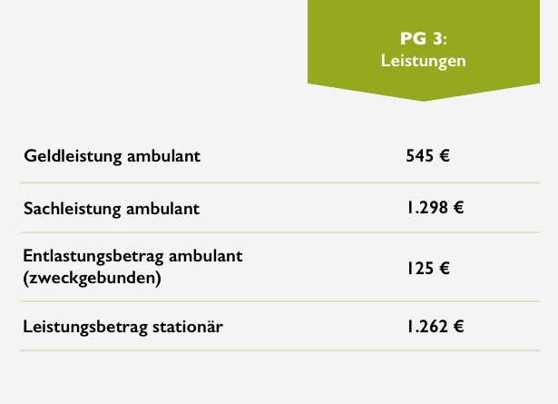Leistungen mit Pflegegrad 3
