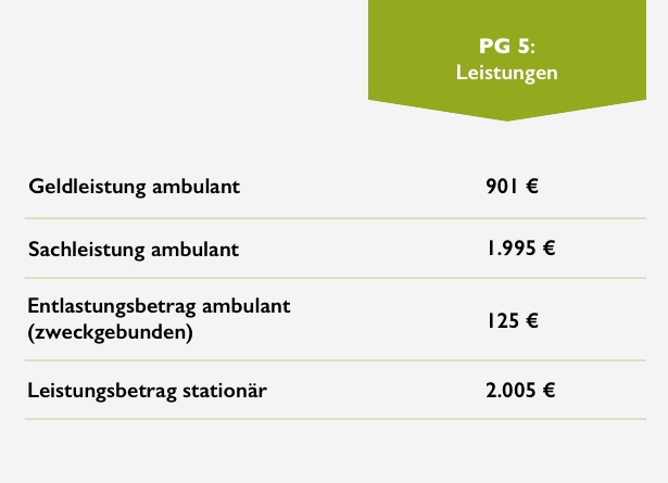 Leistungen mit Pflegegrad 5