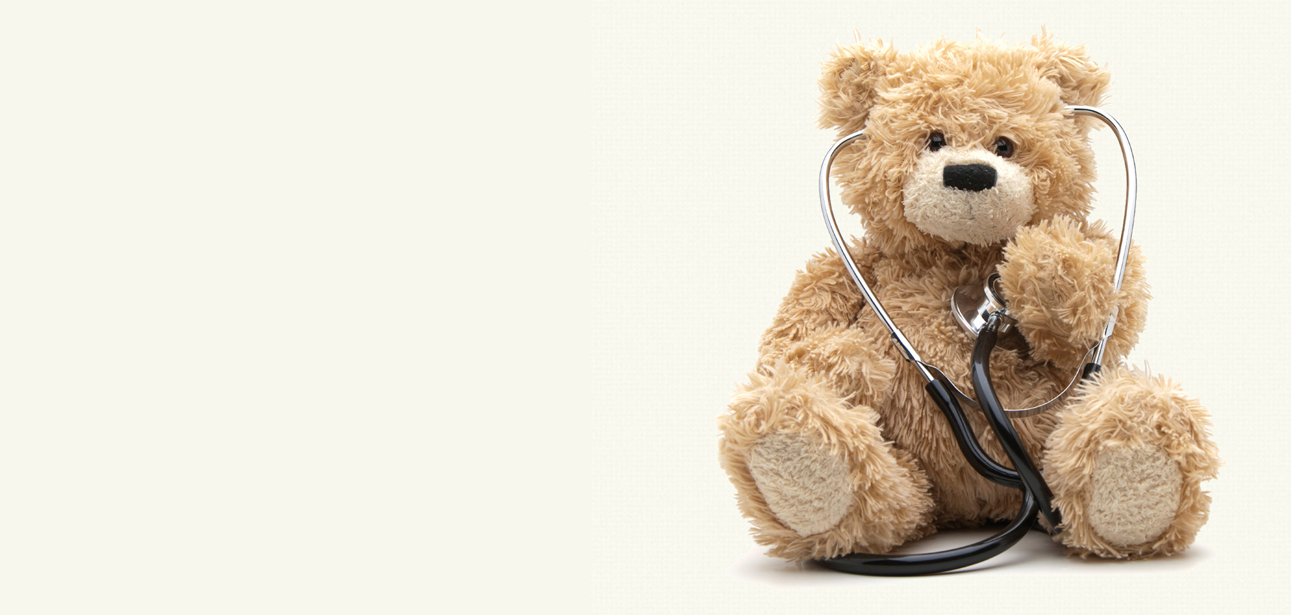 Teddy